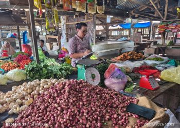 Gerak Cepat Pemerintah Kecamatan Tanah Jawa, Kasi Ekbang Sarti Manik Turun Langsung Pantau Harga Sembako.