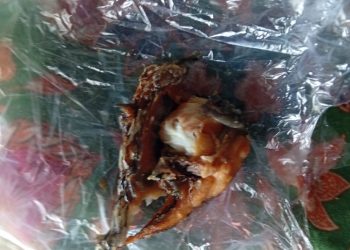 Dua Pekan Bermasalah, Satgas MBG Simalungun di Bawah Wakil Bupati Disorot: Lalai atau Sengaja Dibiarkan?